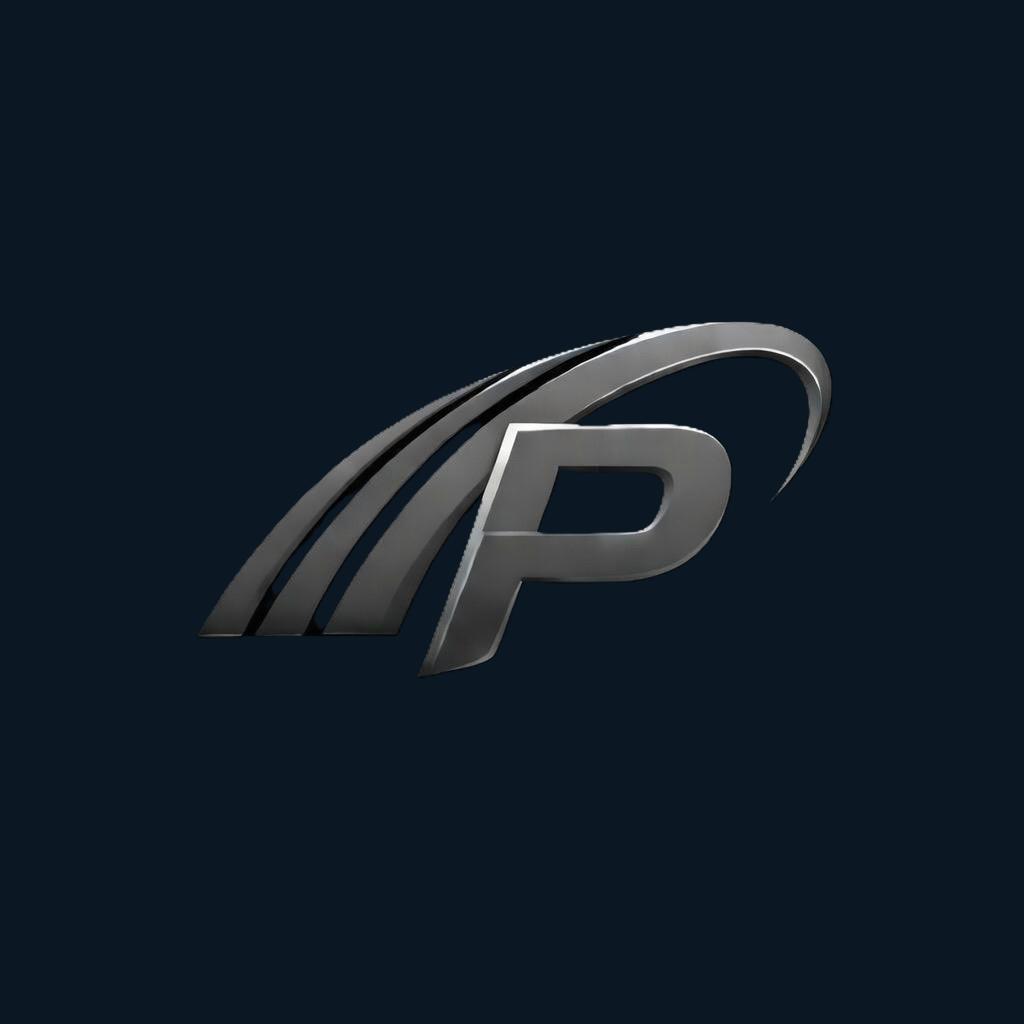 PicketBall Consulting